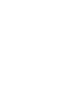 Birds1